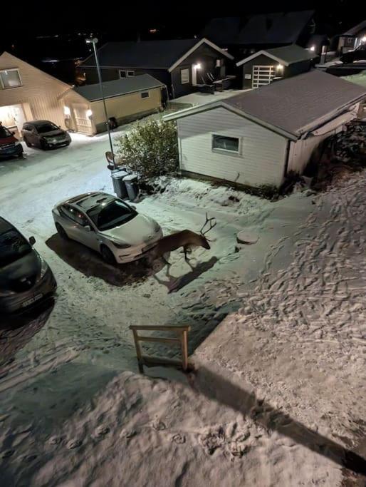Koselig Leilighet Naer Bussholdeplass Og Natur. Tromsø Dış mekan fotoğraf